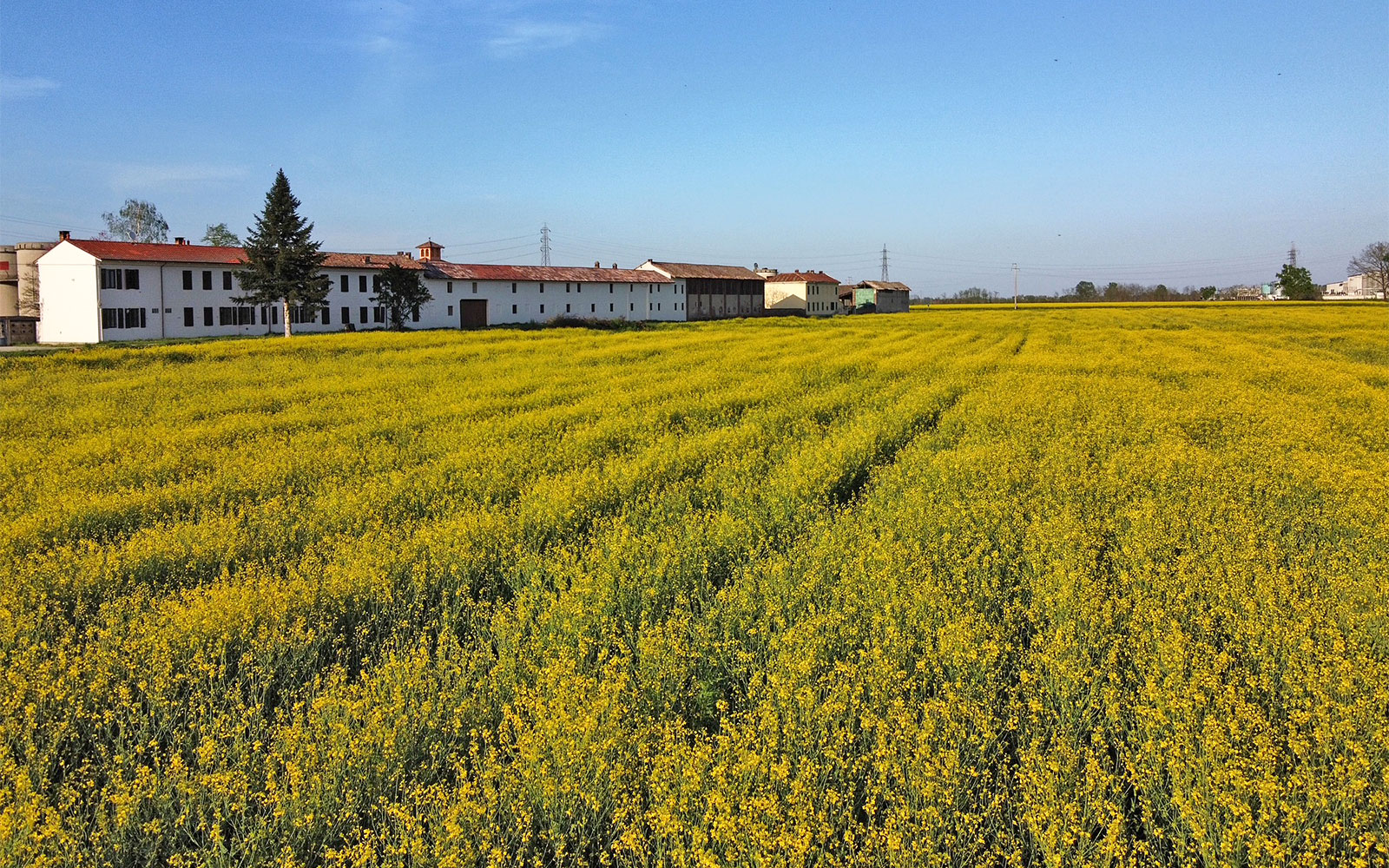 Cascina Scocchellina