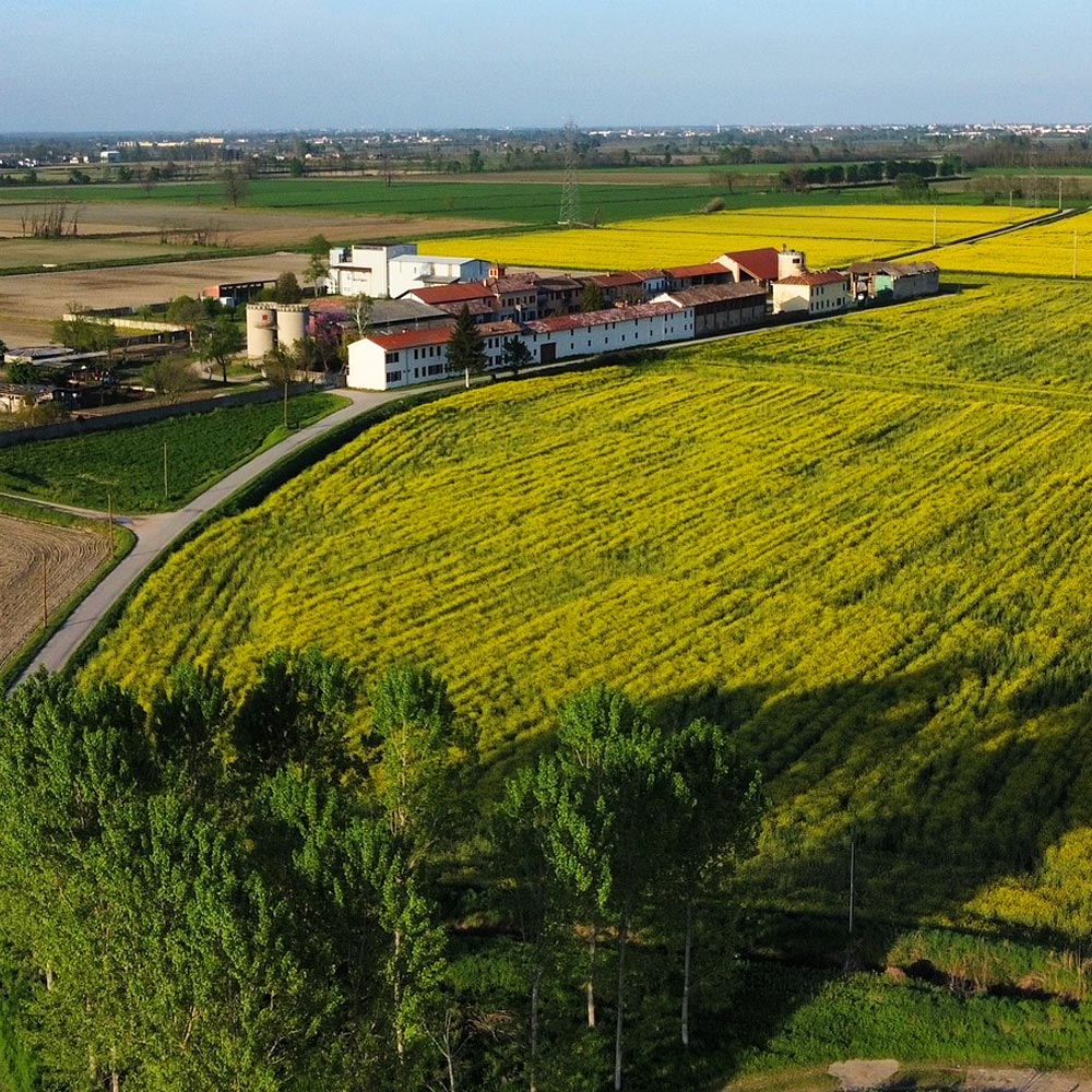 Cascina Scocchellina